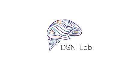 Scaled DSN Logo