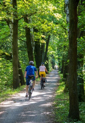 biking through forest